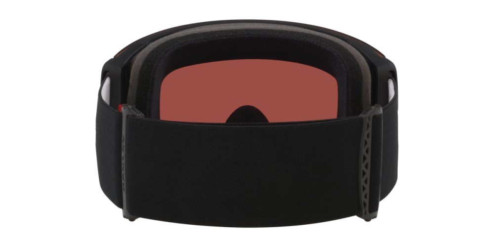 Oakley Flight Deck Pro - Prizm sage gold iridium, L